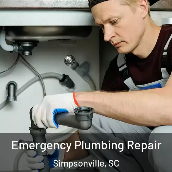  Emergency Plumbing Repair Simpsonville, SC
