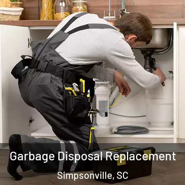  Garbage Disposal Replacement Simpsonville, SC