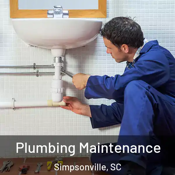  Plumbing Maintenance Simpsonville, SC