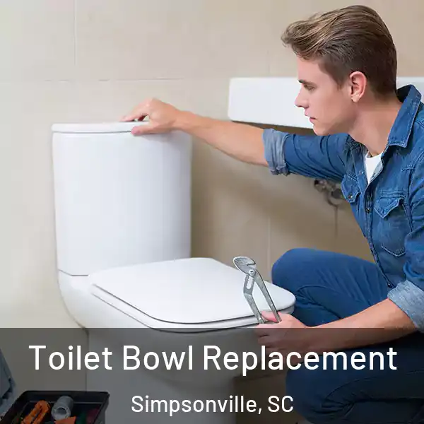  Toilet Bowl Replacement Simpsonville, SC