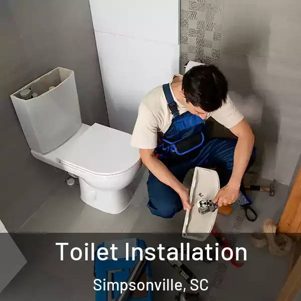  Toilet Installation Simpsonville, SC