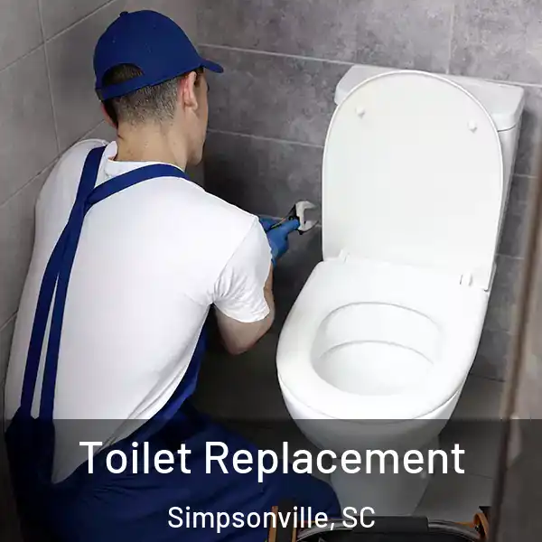  Toilet Replacement Simpsonville, SC