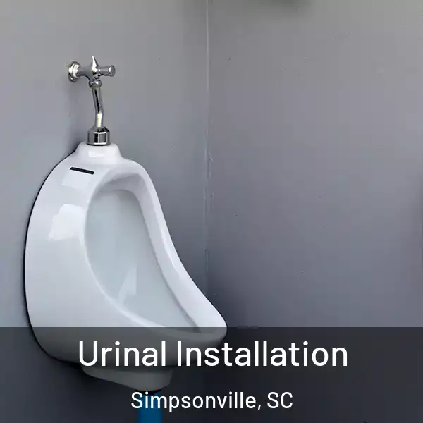  Urinal Installation Simpsonville, SC