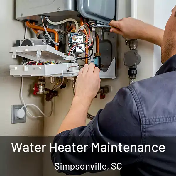 Water Heater Maintenance Simpsonville, SC