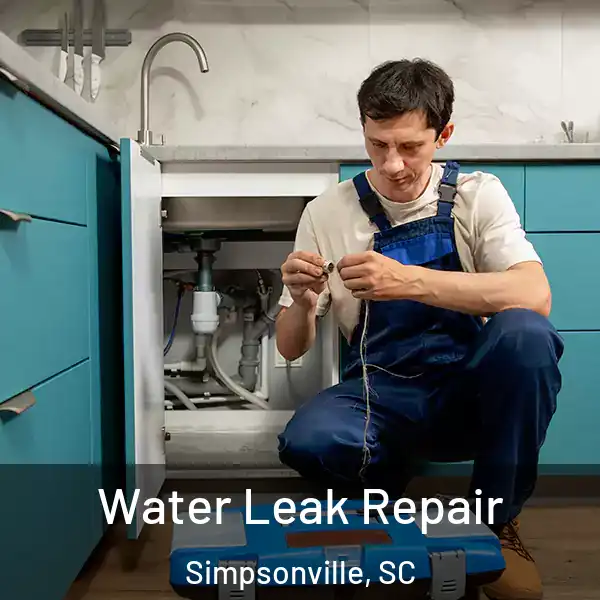  Water Leak Repair Simpsonville, SC